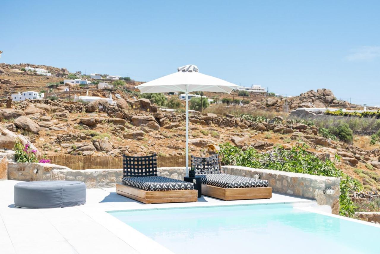 Dioni Villa Mykonos 프라가 외부 사진