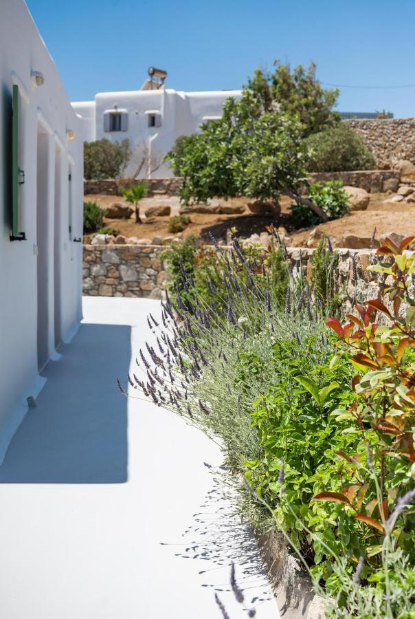 Dioni Villa Mykonos 프라가 외부 사진